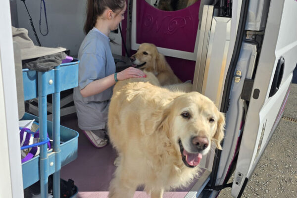 Silverwing-Mobile-Grooming_v4 Silverwing-Mobile-Grooming_v4